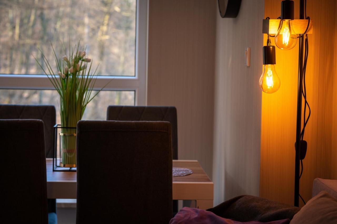 Apartament Kurort Kozubnik Wilcza Wataha Porąbka المظهر الخارجي الصورة