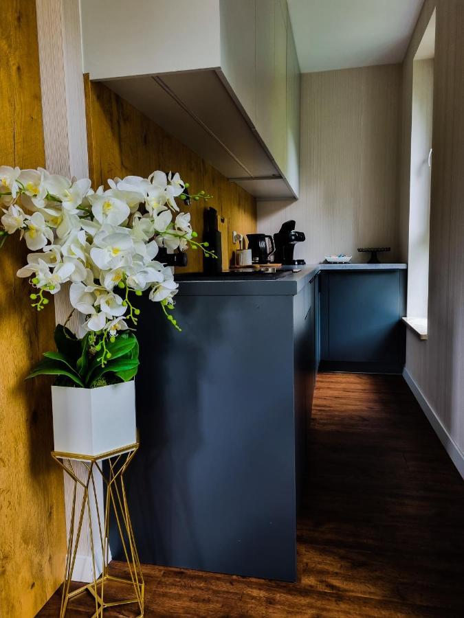 Apartament Kurort Kozubnik Wilcza Wataha Porąbka المظهر الخارجي الصورة